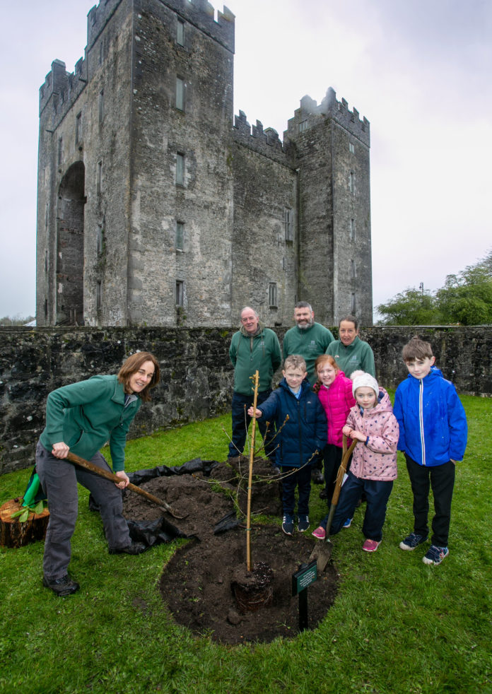 Bunratty Tree 1 Pictured are 2nd Class pupils from Sixmilebridge Primary School, Morgan Barrett, Rebecca Loughrane, Orla O’Neill and Nathan O’Brien with Shannon Heritage Gardening Team memebers Elaine Hiney Wall, Andrew McNamara, Neilus Geaney and Sinead Moloney planting a Tree in the grounds of Bunratty Castle Co Clare to celebrate National Tree Week 2019.Pic Arthur Ellis.