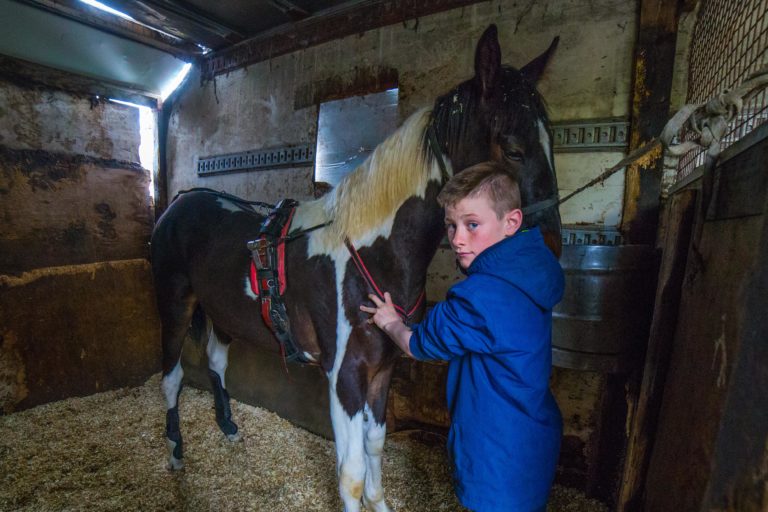 Another side to the story of Limerick’s urban horses