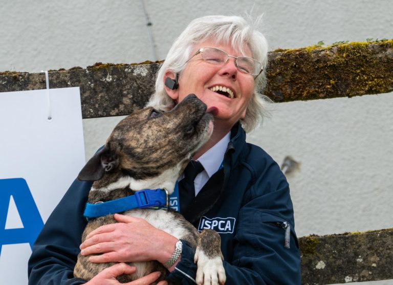 ISPCA tips to keep your pets safe in hot weather