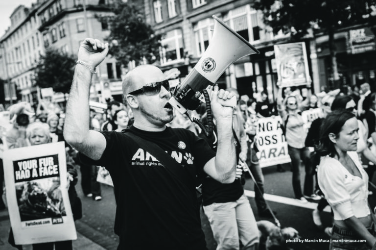 Limerick activist calls to outlaw fur farms