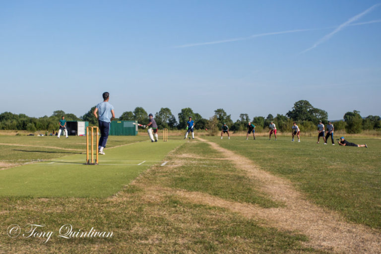 Limerick fall short of upsetting champions Cork
