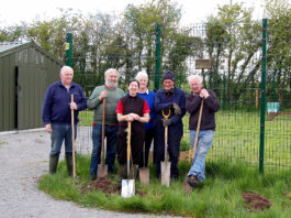 Members of the Limerick Beekeepers Association planting trees to preserve the habitat for swarming.