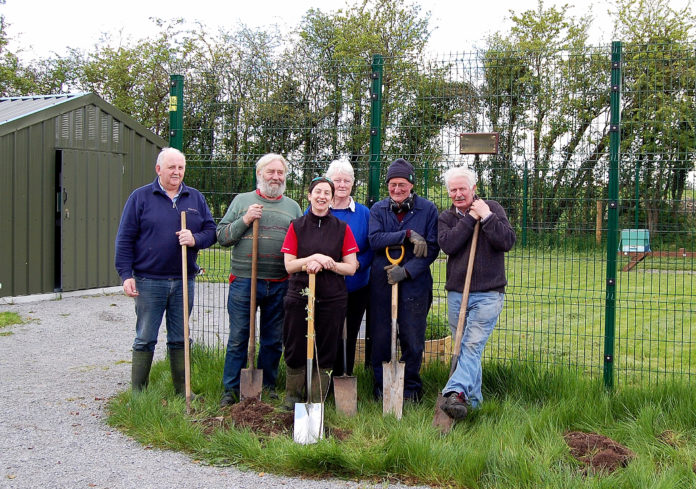 Members of the Limerick Beekeepers Association planting trees to preserve the habitat for swarming.