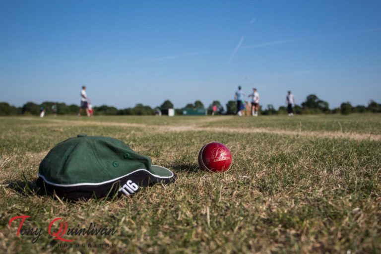 Limerick crowned Division Two and Division Three Champions in final weekend of T20 leagues