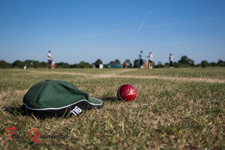 Limerick come up short in penultimate T20 game in Cork