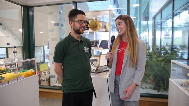 The Limerick Post Show -National Football Exhibition Limerick Charity Initiative