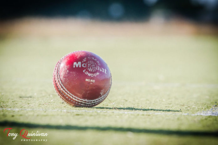 Limerick-Cricket-Club-48-copy-768x512.jpg