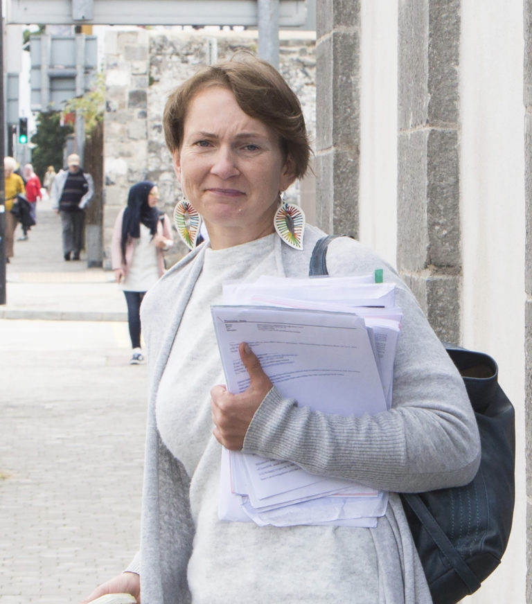 Landmark planning decision to allow Limerick solar panels