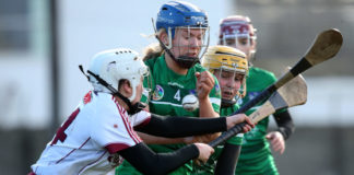Littlewoods Ireland Camogie League Division 1 Semi-Final, St. Brendan's Park, Birr, Co. Offaly 10/3/2019 Galway vs Limerick Galway's Ailish O'Reilly and Marian Quaid of Limerick Mandatory Credit ©INPHO/Bryan Keane
