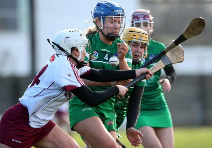 Ailish O'Reilly and Marian Quaid 10/3/2019 Littlewoods Ireland Camogie League Division 1 Semi-Final, St. Brendan's Park, Birr, Co. Offaly 10/3/2019 Galway vs Limerick Galway's Ailish O'Reilly and Marian Quaid of Limerick Mandatory Credit ©INPHO/Bryan Keane