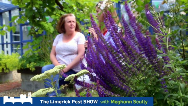 Limerick Post Show | Limerick is Going for Gold