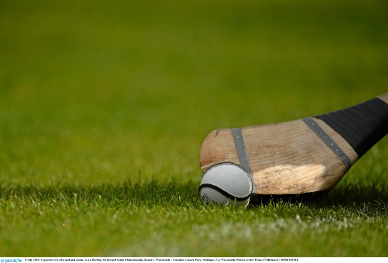 Limerick clubs to benefit from Edwards Lifesciences