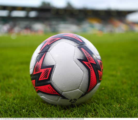 soccer ball detail