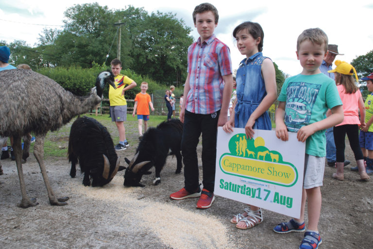 All-Ireland class level for Cappamore’s 65th Show