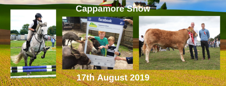 All-Ireland class for Cappamore’s 65th Show