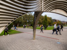 University of Limerick campus Picture: Alan Place