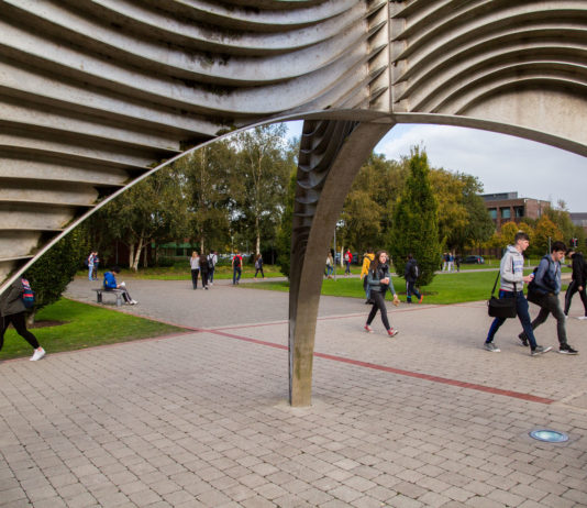University of Limerick campus Picture: Alan Place
