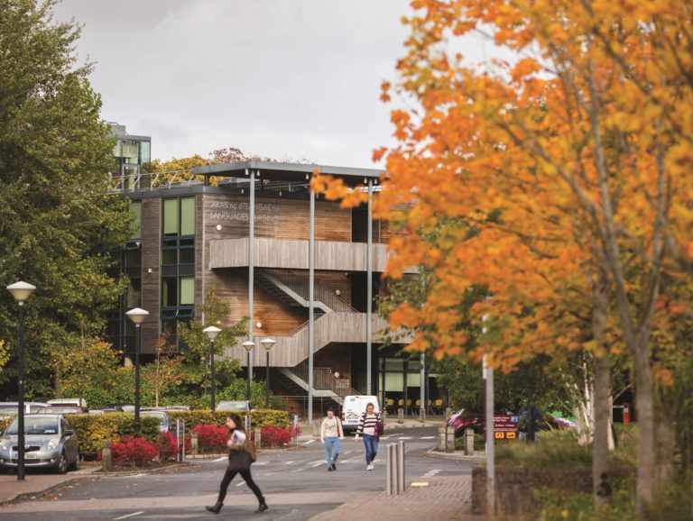 UL approves rollout of “community engagement” plan to tackle anti-social behaviour in estates