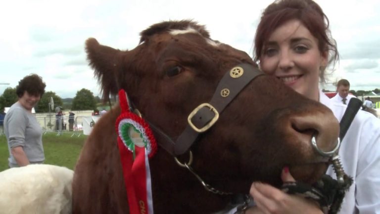 Limerick Show celebrating 90 years this year