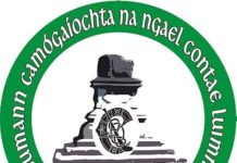 Camogie Board Express “Regret” at Nash’s Decision to Withdraw