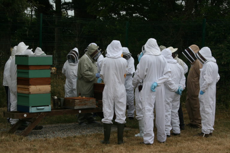 Sweet support will bee on hand for Milford