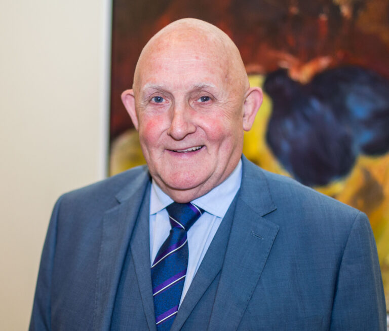 Elderly people ‘terrorised’ by Limerick City traffic wardens