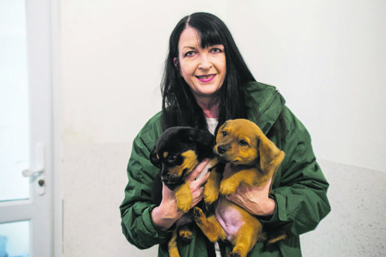 Four Limerick animal charities to share almost €180,000 funding