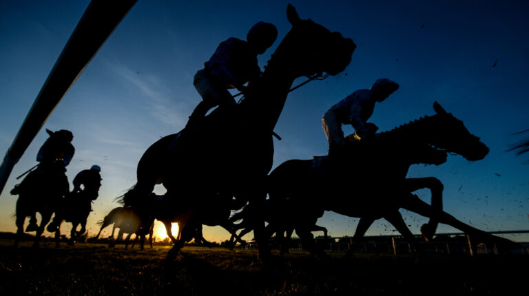 Weekly Racing News | Limerick Racecourse prepares for the Christmas Festival