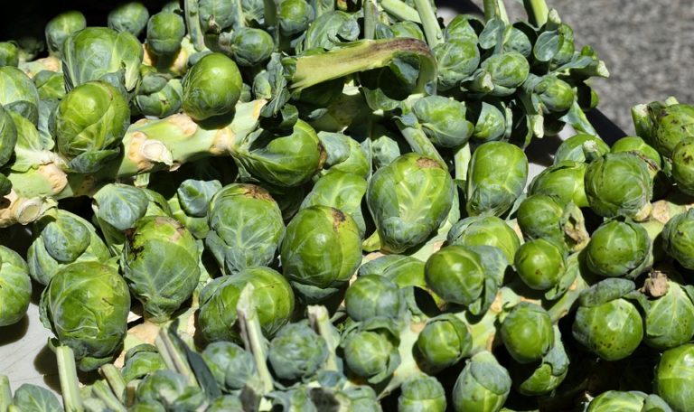 The average Irish person will eat 11 Brussel Sprouts