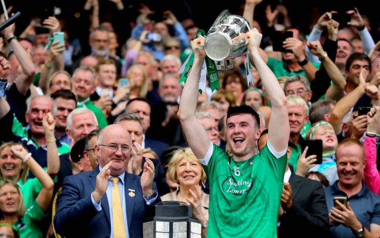 Limerick Hurling Team of the Decade: Centre Back