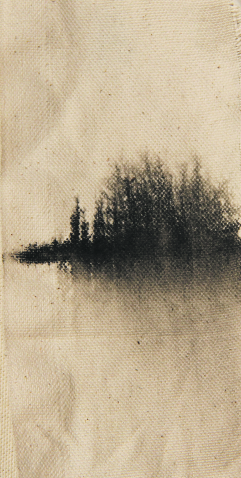 “…a very good time to go look at trees”