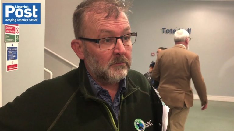 Green Party optimistic for a seat in Limerick City