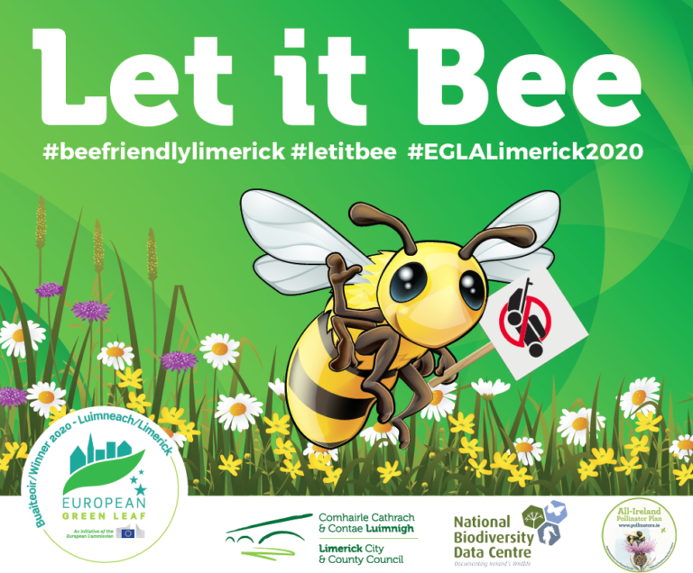 Let it Bee – wild flower meadows to be created around Limerick City
