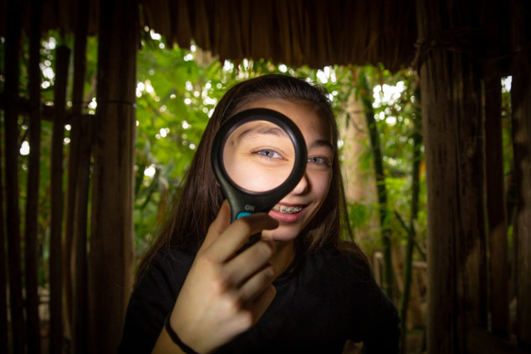 SciFest@College competition to go online for Limerick students