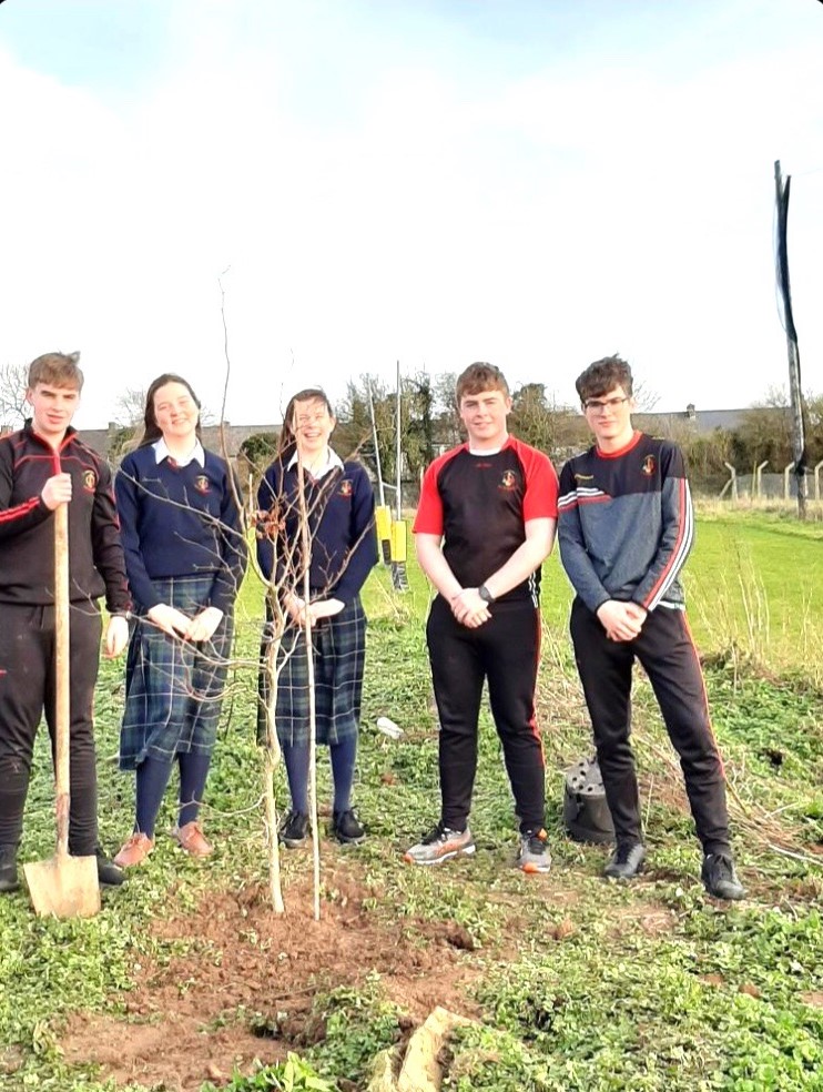 Limerick teens reach National Environmental Awards