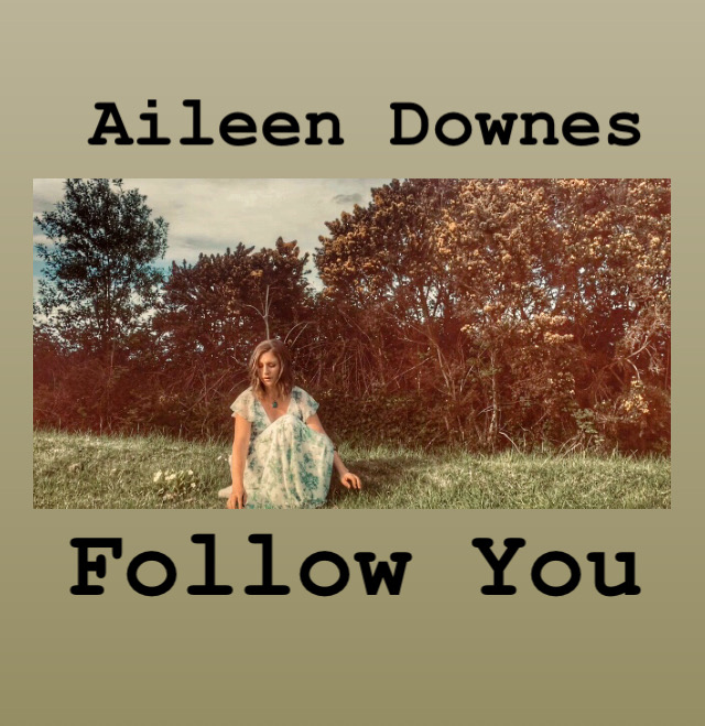 Aileen Downes Flow You Limerick Post