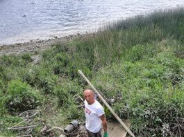 Billy Grieves at work on the riverbank before he was told to stop by Limerick City and County Council officials