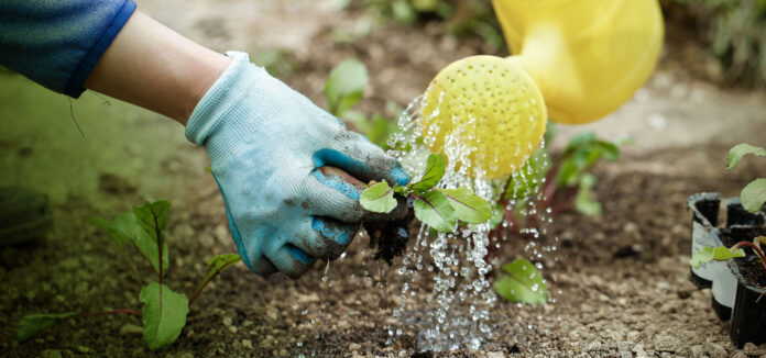 A watering can uses a lot less water than a hose pipe (2)