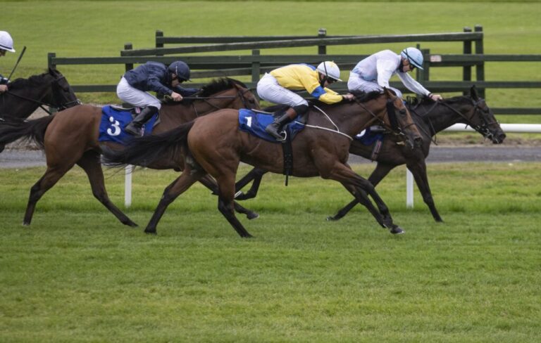 Weekly Racing News | A 2,587/1 treble the highlight with winners aplenty for Limerick locals