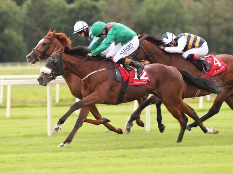 Weekly Racing News | Wins for Bolger, Hayes and Landers