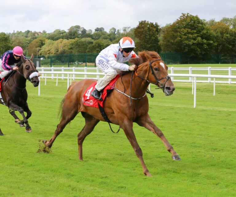 Weekly Racing News: Hayes, Enright & Leahy to the fore