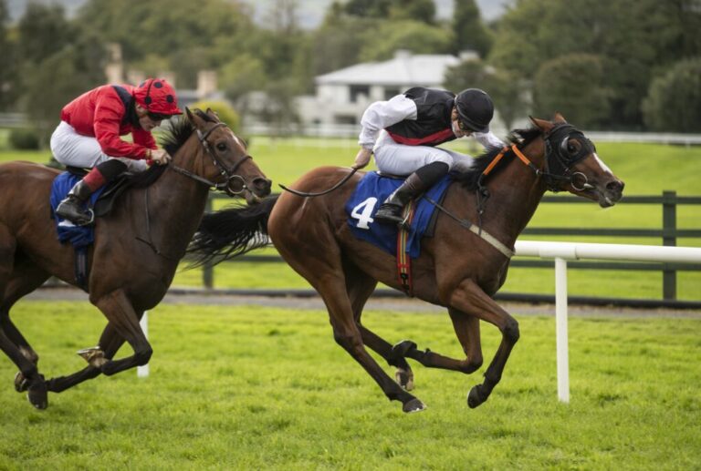 Weekly Racing News: Usual suspects come up trumps