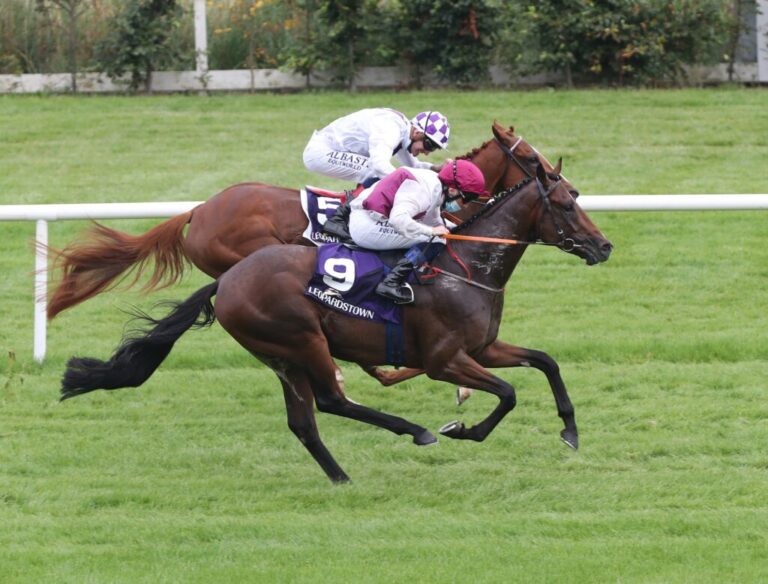 Weekly Racing News: Chris Hayes rides biggest priced winner in Irish history