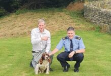 Gardaí step up operations to tackle Limerick dognappers