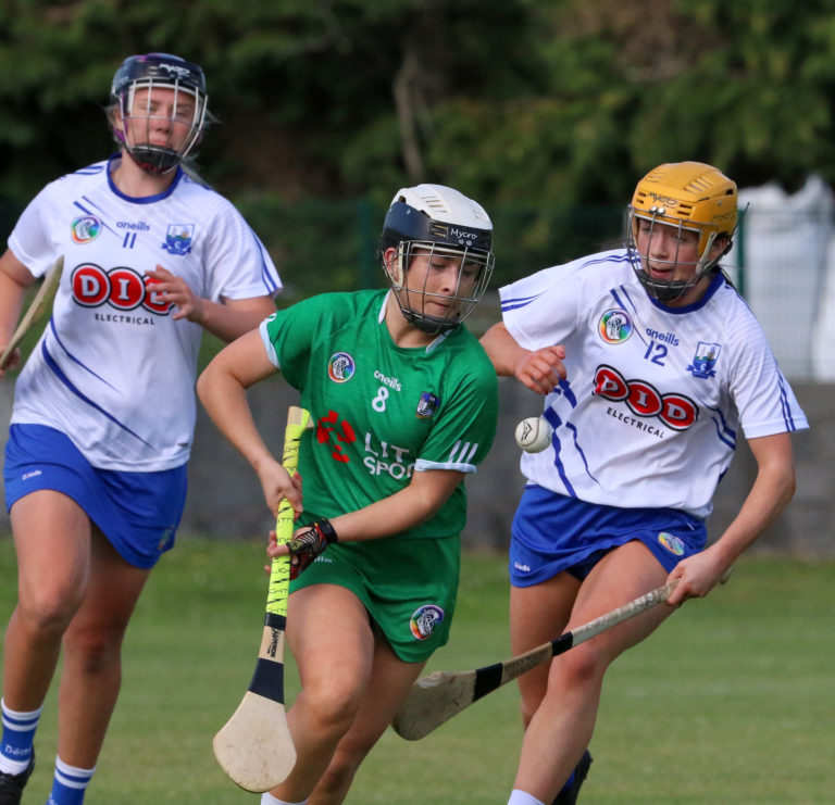 QUIZ: Name the Limerick Camogie team from their last championship game in 2019