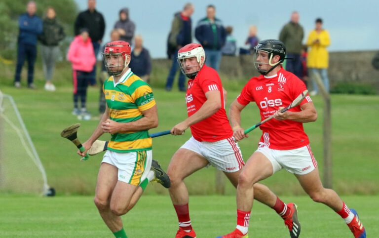 Limerick SHC Power Rankings heading into quarter-finals