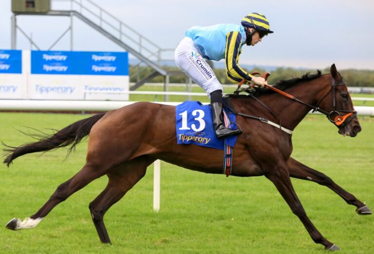 Weekly Racing News: Busy week for Limerick contingent as Listowel kicks off