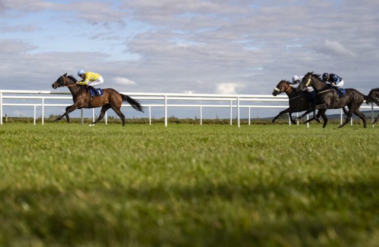 McNamara’s 14/1 shot the standout-Weekly Racing News