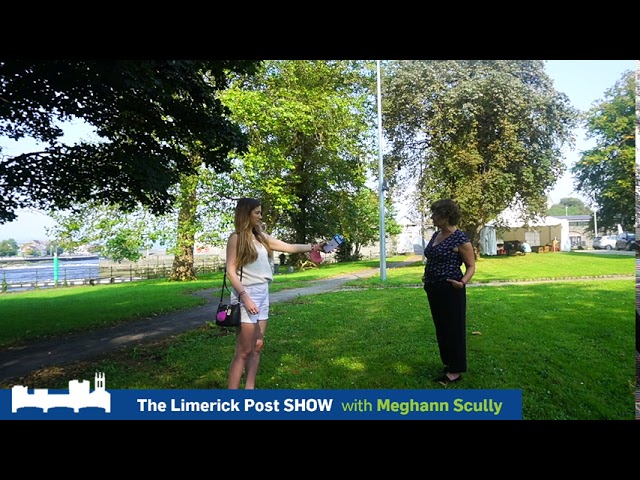 Limerick Post Show | The Hunt Museum railing removal