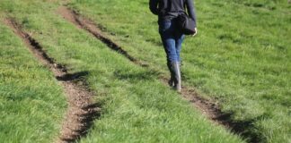 person in black jacket walking on green grass field during daytime